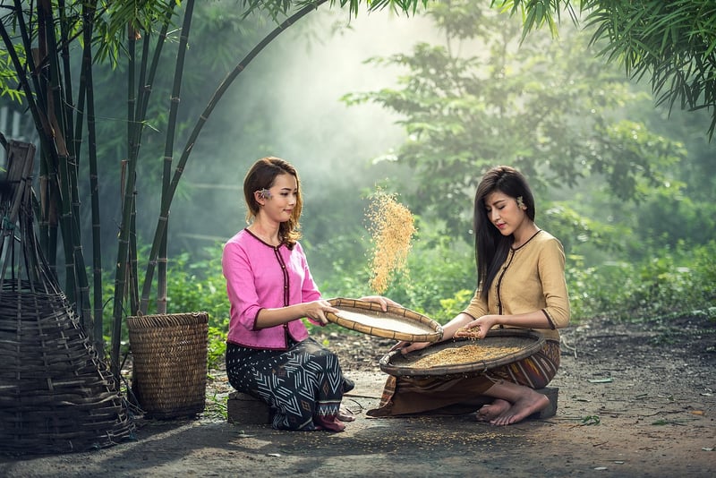 Ethnic Elements